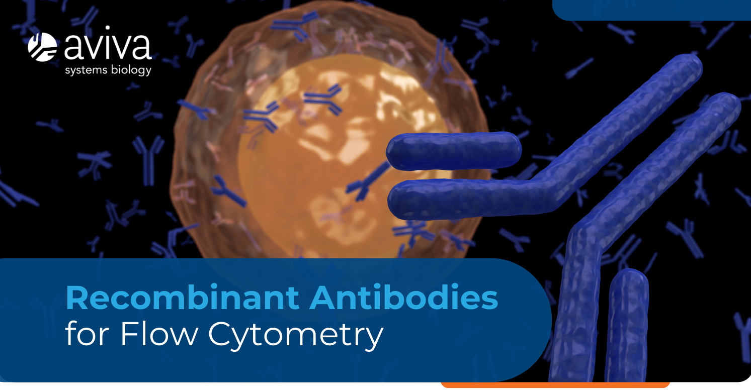 Flow Validated Antibodies cropped