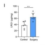 LRG1 OKCD01614 Fig 5 Sub I - cropped