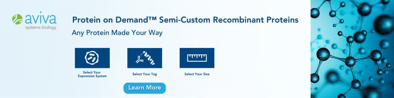 POD Email Banner (1200 x 300 px)