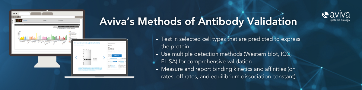 blog - cell line specificty (1200 x 300 px)