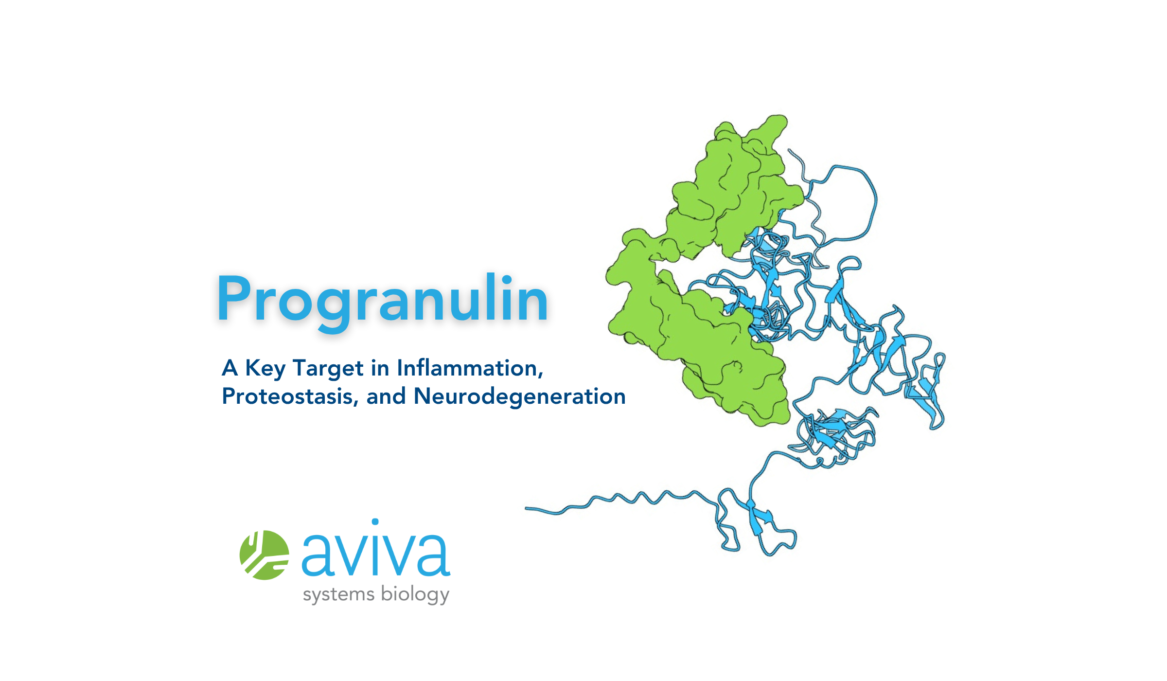 Progranulin: A Key Target in Inflammation, Proteostasis, and ...